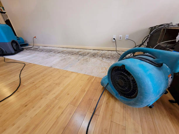 Professional Sewage Cleanup technician working in Bloomfield, NJ